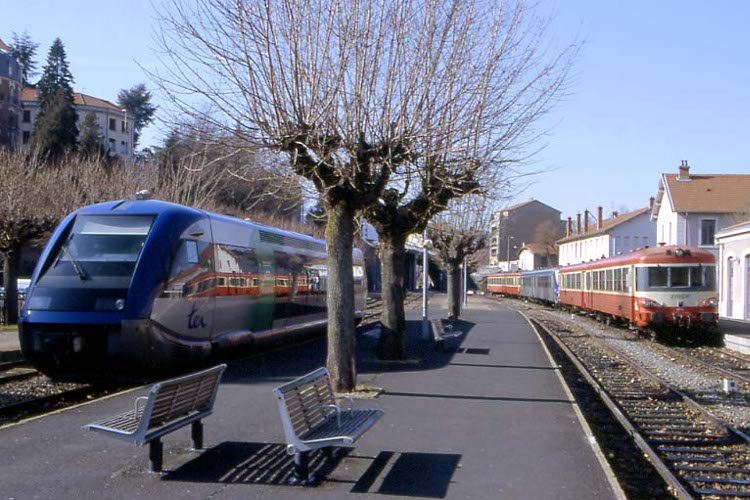 ter X73683